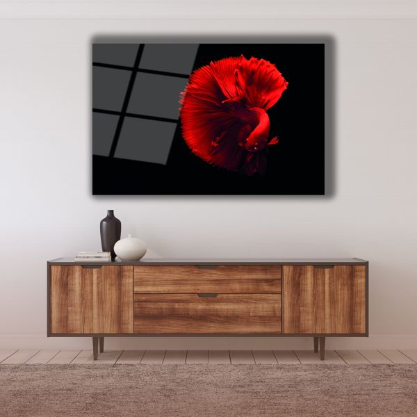 Kırmızı Beta Balığı Cam Tablo