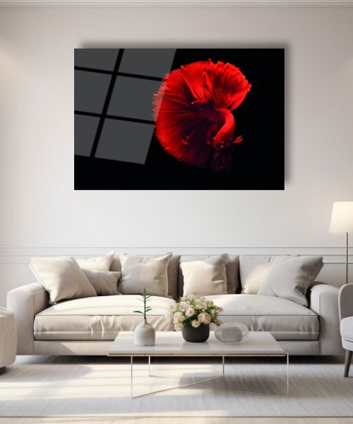 Kırmızı Beta Balığı Cam Tablo