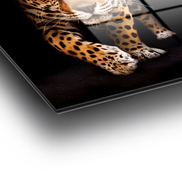 Leopar Cam Tablo