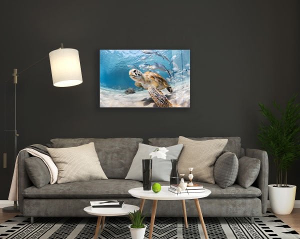 Sevimli Caretta ve Balıklar Cam Tablo