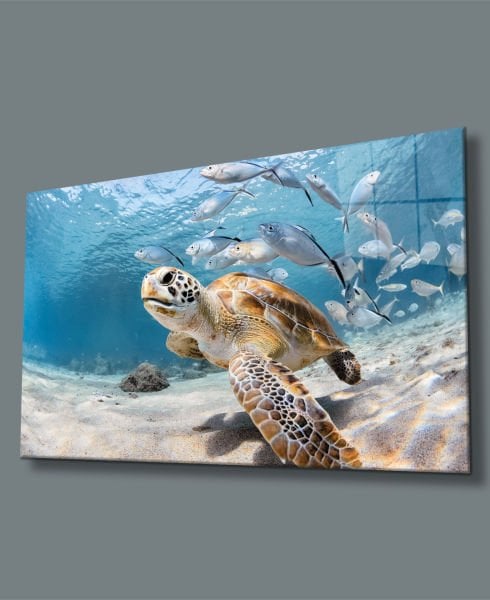 Sevimli Caretta ve Balıklar Cam Tablo