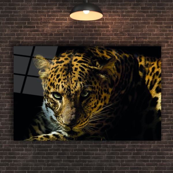 Jaguar Cam Tablo