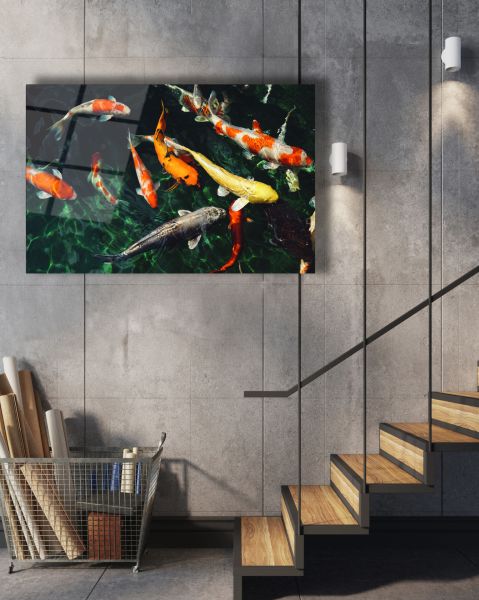 Koi Balıkları Cam Tablo